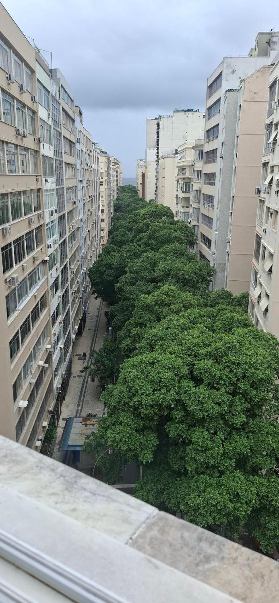 Ape Em Copacabana * Río de Janeiro